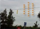 法轮功,北京大法弟子恭祝师尊新年好(23条)