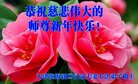 ֹ,󷨵ӹףʦ(20)