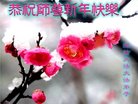ֹ,Ϋ󷨵ӹףʦ(18)