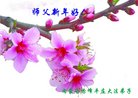 法轮功,内蒙古大法弟子恭祝师尊新年好(33条)