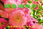 ֹ,󷨵ӹףʦ(25)