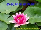 ֹ,󷨵ӹףʦ(22)