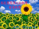 ֹ,㶫󷨵ӹףʦ(27)