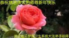 ֹ,󷨵ӹףʦ(23)