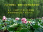 ֹ,ӱ󷨵ӹףʦ(25)