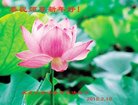 ֹ,󷨵ӹףʦ(26)