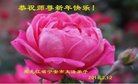 ֹ,󷨵ӹףʦ(23)