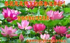 ֹ,󷨵ӹףʦ(22)