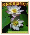 ֹ,󷨵ӹףʦ(27)