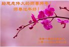ֹ,ϴ󷨵ӹףʦ(26)