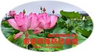 ֹ,󷨵ӹףʦ(28) 