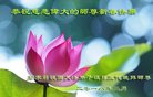 ֹ,ʯׯ󷨵ӹףʦ(22)