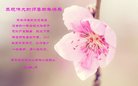 ֹ,ľ˹󷨵ӹףʦ(19)