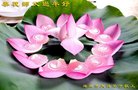 法轮功,黑龙江大法弟子恭祝师尊新年好(23条)