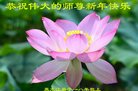 法轮功,黑龙江大法弟子恭祝师尊新年好(23条)