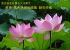 ֹ,󷨵ӹףʦ(26)