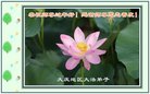 ֹ,󷨵ӹףʦ(22)