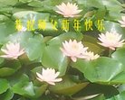ֹ,㶫󷨵ӹףʦ(25)