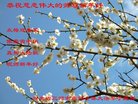 ֹ,ȷ󷨵ӹףʦ(25)