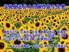 ֹ,󷨵ӹףʦ(23)