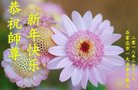 法轮功,石家庄大法弟子恭祝师尊新年好(25条)