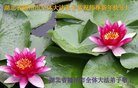 ֹ,󷨵ӹףʦ(23)