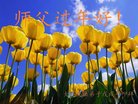 ֹ,󷨵ӹףʦ(24)