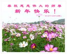 ֹ,㽭󷨵ӹףʦ(20)
