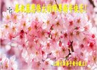 ֹ,Ϻ󷨵ӹףʦ(23)