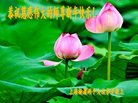 ֹ,Ϻ󷨵ӹףʦ(23)
