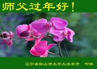 法轮功,辽宁大法弟子恭祝师尊新年好(23条)