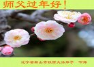 法轮功,辽宁大法弟子恭祝师尊新年好(23条)
