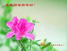 ֹ,Ϋ󷨵ӹףʦ(18)