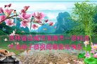 ֹ,ʡ󷨵ӹףʦ(29)