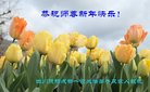 法轮功,成都大法弟子恭祝师尊新年好(26条)
