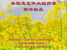 ֹ,ϴ󷨵ӹףʦ(24)