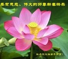 ֹ,󷨵ӹףʦ(27)