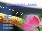 ֹ,ݴ󷨵ӹףʦ(27)