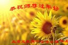 ֹ,󷨵ӹףʦ(23)