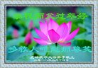 ֹ,󷨵ӹףʦ(24)