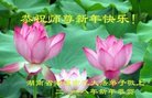 ֹ,ϴ󷨵ӹףʦ(24)