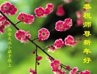 法轮功,西安大法弟子恭祝师尊新年好(25条)