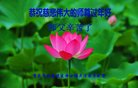 法轮功,重庆大法弟子恭祝师尊新年好(22条)