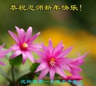 ֹ,󷨵ӹףʦ(27)