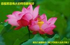 ֹ,󷨵ӹףʦ(26)