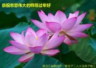 ֹ,󷨵ӹףʦ(26)