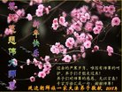 ֹ,ʡ󷨵ӹףʦ(26)