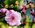 ֹ,ʡ󷨵ӹףʦ(26)