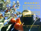 ֹ,󷨵ӹףʦ(24)