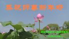 ֹ,ϴ󷨵ӹףʦ(24)
